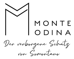 Monte-Odina-logo